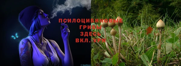 дистиллят марихуана Осинники