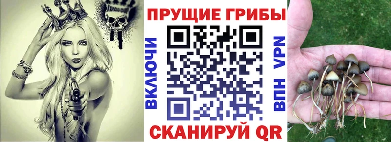 Галлюциногенные грибы прущие грибы  где купить наркотик  Отрадная 